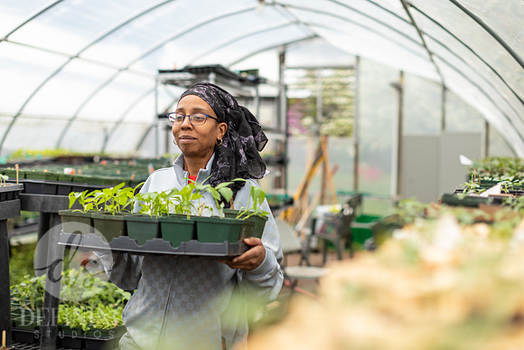 Hartford_Food_Security_HFPG-061