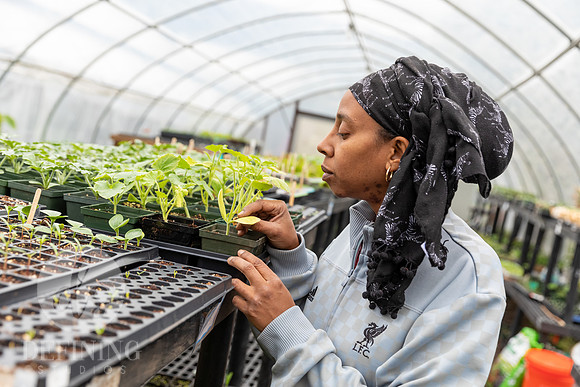 Hartford_Food_Security_HFPG-055