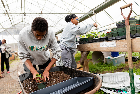 Hartford_Food_Security_HFPG-033