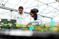 Hartford_Food_Security_HFPG-020