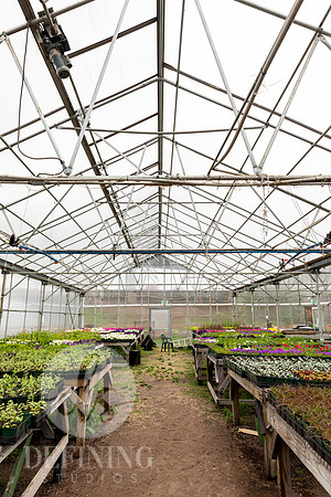 Hartford_Food_Security_HFPG-039