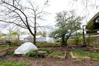 Hartford_Food_Security_HFPG-008