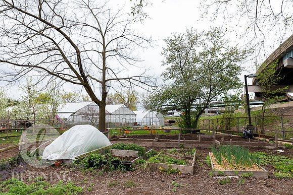 Hartford_Food_Security_HFPG-008