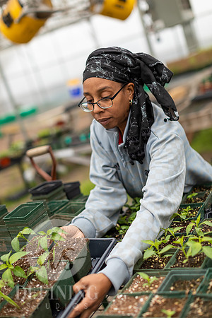 Hartford_Food_Security_HFPG-045