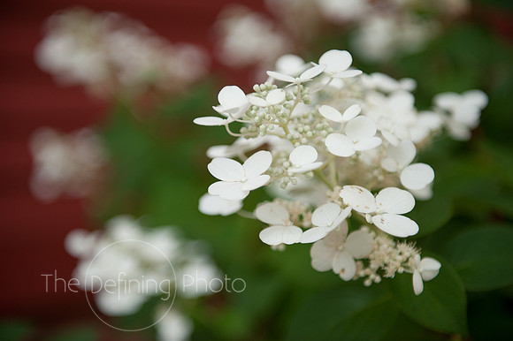 Euphoria__39