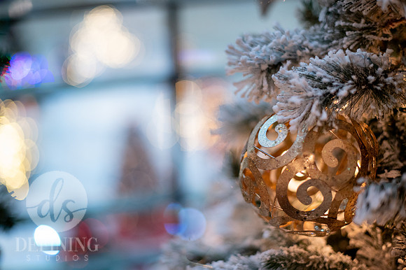 Festival_of_Trees&Traditions_087