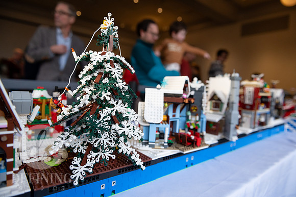 Festival_of_Trees&Traditions_126