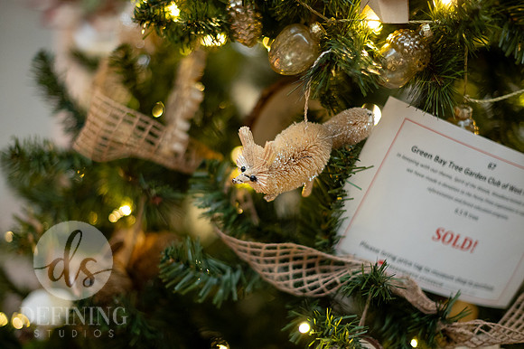 Festival_of_Trees&Traditions_117
