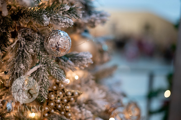 Festival_of_Trees&Traditions_088