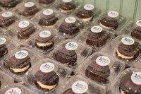 HFPG_GTCF_008-