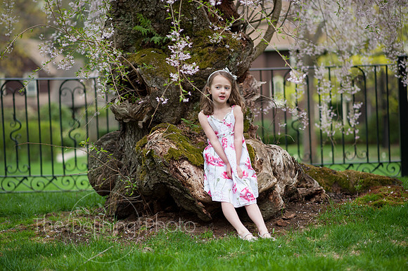 Spring_2015_West_45
