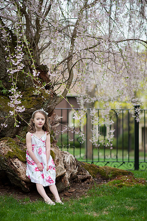 Spring_2015_West_46