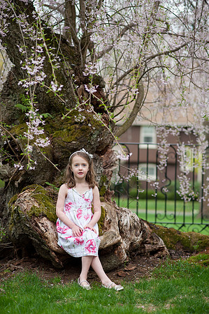 Spring_2015_West_49