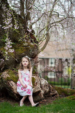 Spring_2015_West_51
