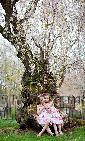 Spring_2015_West_53