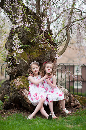 Spring_2015_West_55