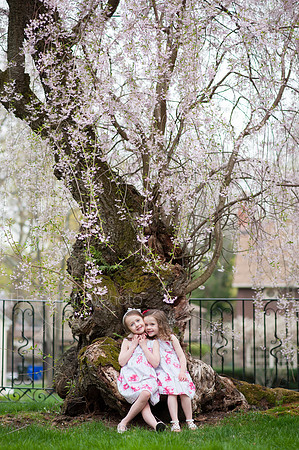 Spring_2015_West_60
