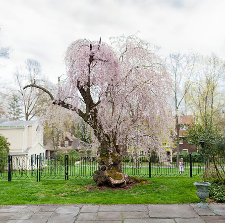 Spring_2015_West_74