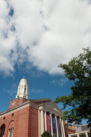 Bushnell_217