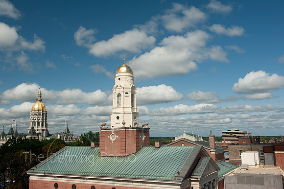 Bushnell_218