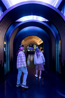 Clear_LED_NJ-010