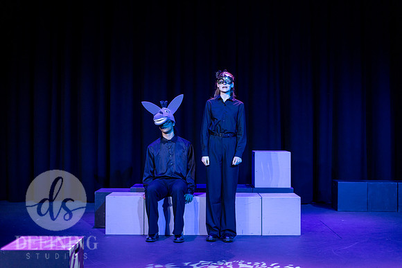 11-28-25_Midsummer_Night-070