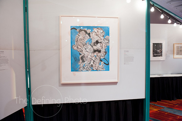 Splendor_2012_003