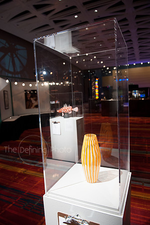 Splendor_2012_004