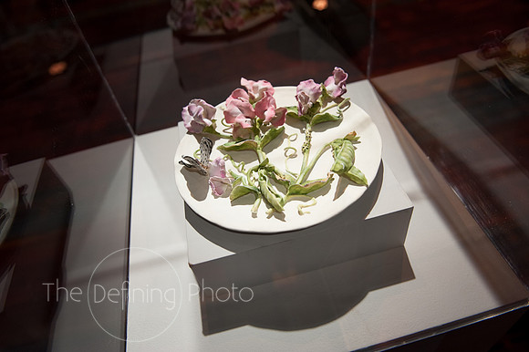Splendor_2012_009