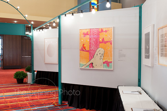 Splendor_2012_017