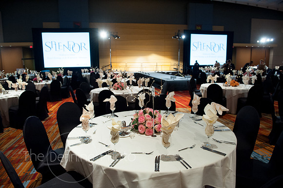 Splendor_2012_020