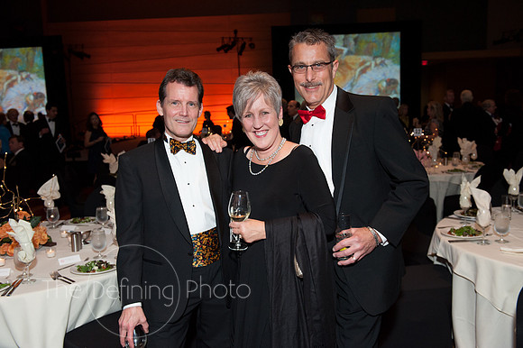 Splendor_2012_169