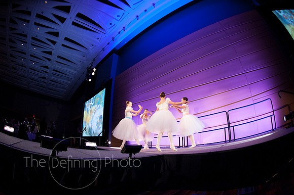 Splendor_2012_175