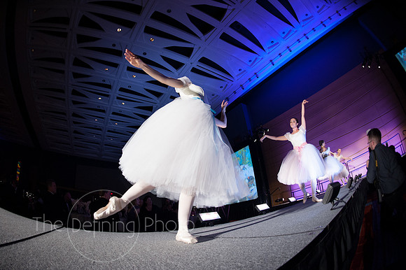 Splendor_2012_176