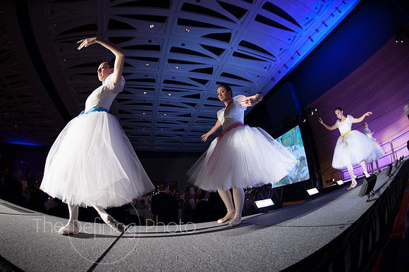 Splendor_2012_177