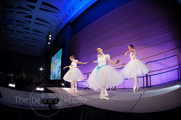 Splendor_2012_189