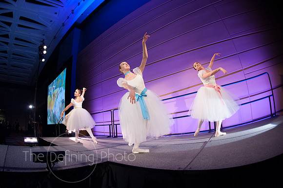 Splendor_2012_190