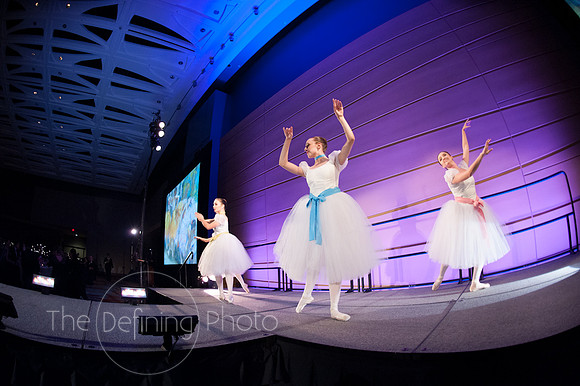 Splendor_2012_191