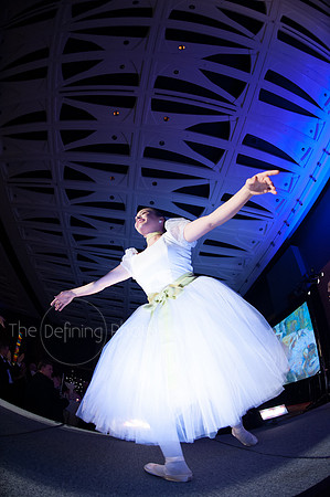 Splendor_2012_199