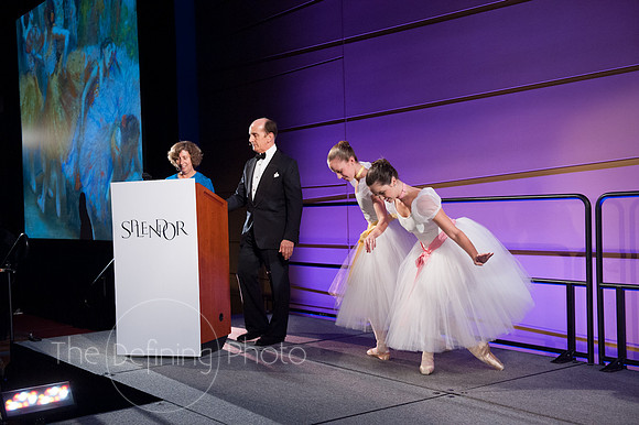 Splendor_2012_205