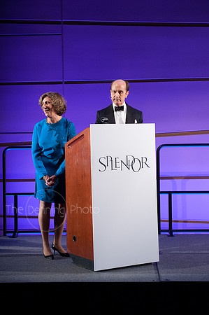 Splendor_2012_209