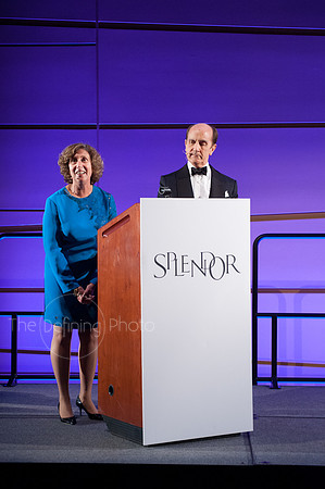 Splendor_2012_210