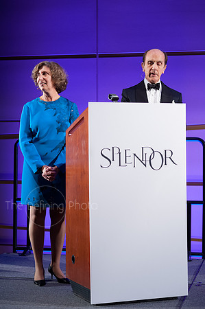 Splendor_2012_211