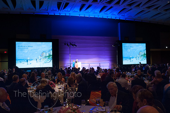 Splendor_2012_219