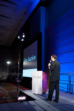 Splendor_2012_239