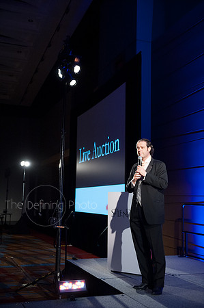 Splendor_2012_240