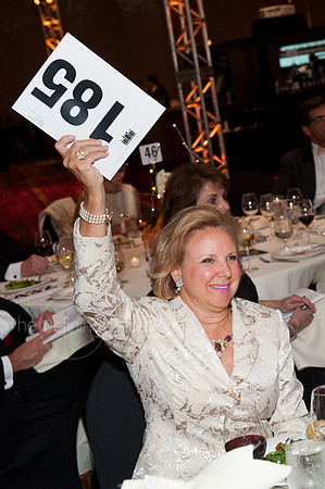 Splendor_2012_244