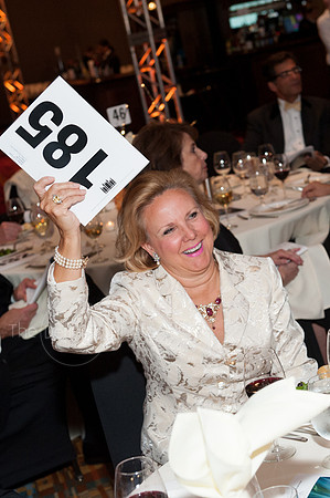 Splendor_2012_245