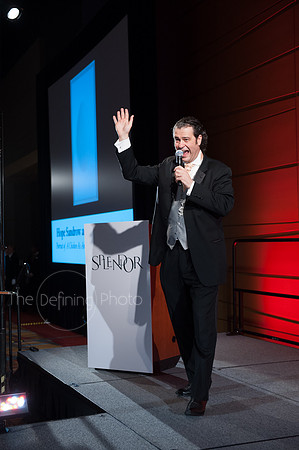 Splendor_2012_280