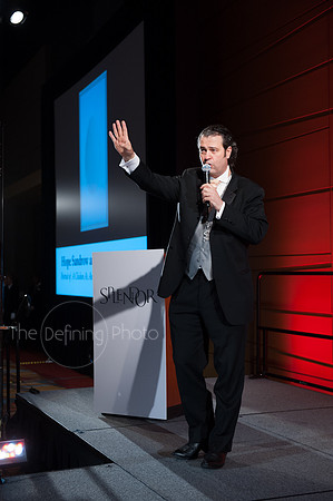 Splendor_2012_281
